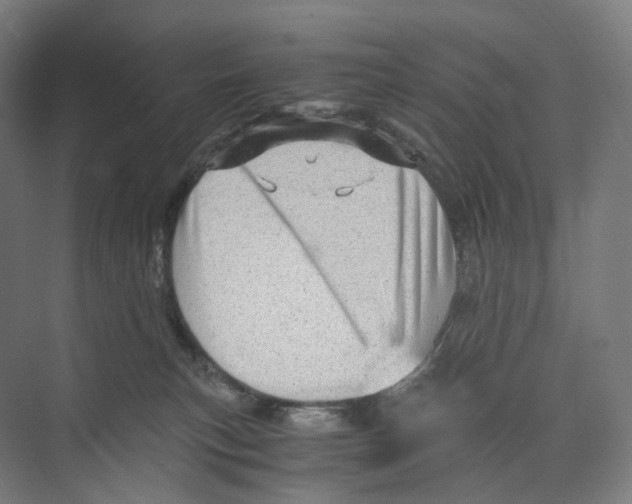 X0000073980183200609181726