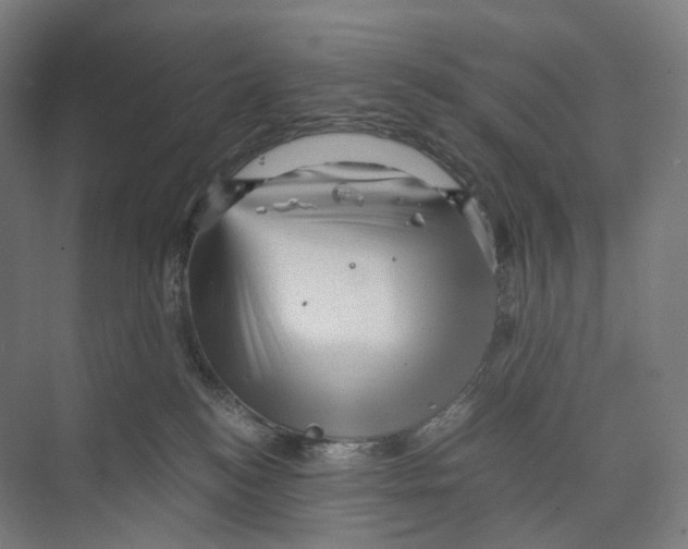 X0000073980184200609181726