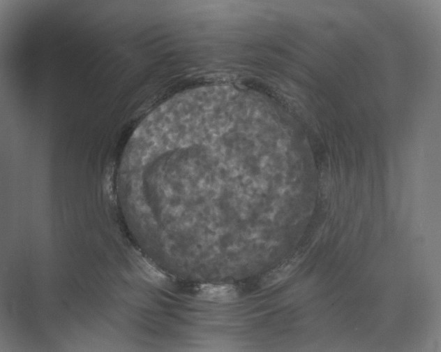 X0000073980185200609181726