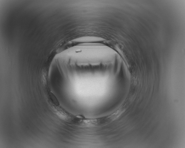 X0000073980188200609181726