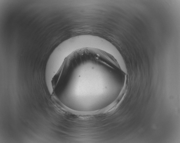 X0000073980190200609181726