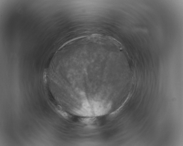 X0000073980191200609181726