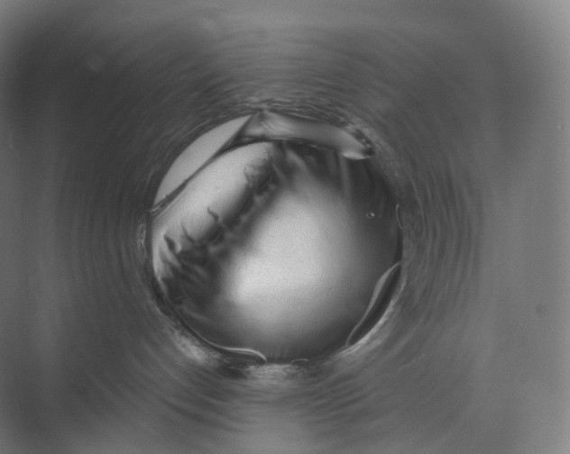 X0000073980192200609181726