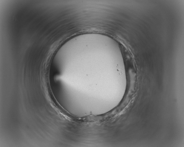 X0000073980193200609181725