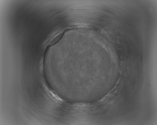 X0000073980194200609181725