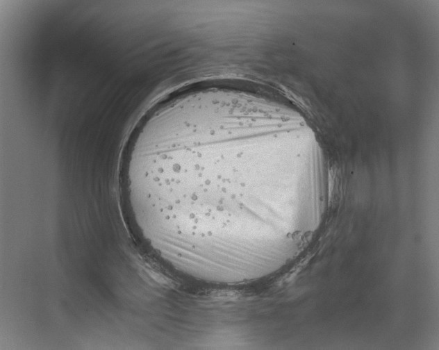 X0000073980195200609181725