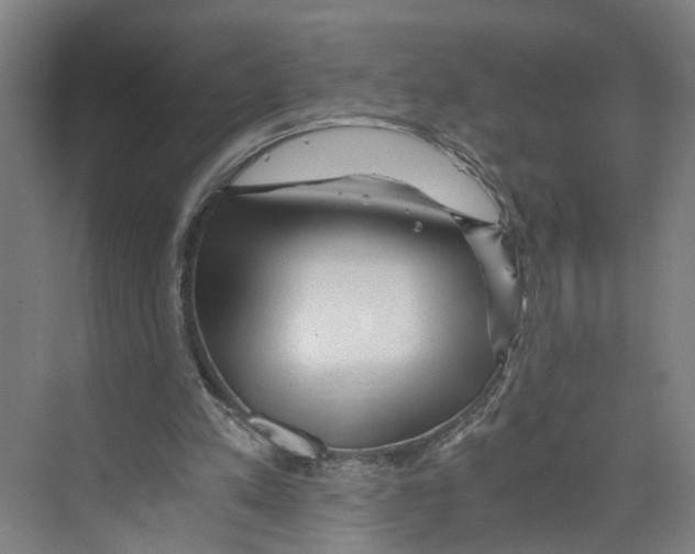 X0000073980197200609181725