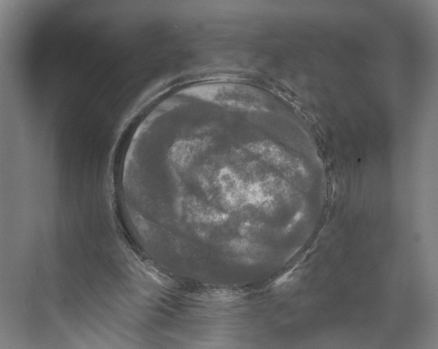 X0000073980198200609181725