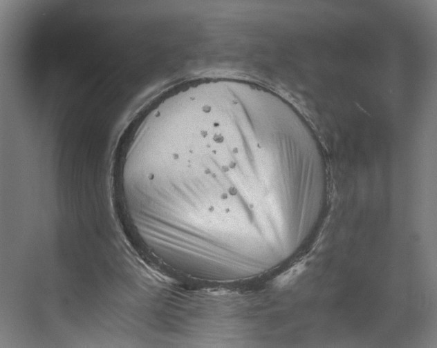 X0000073980199200609181725