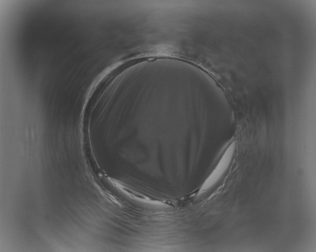 X0000073980200200609181725