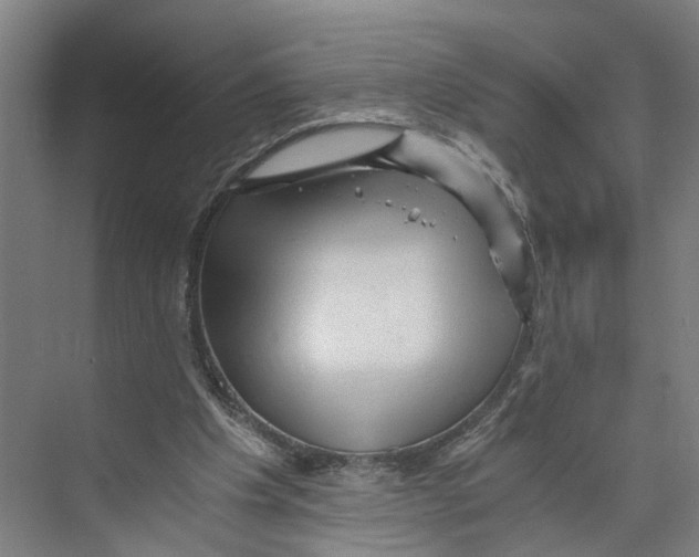 X0000073980201200609181725