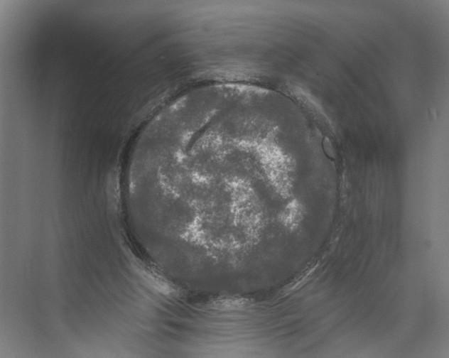 X0000073980202200609181725