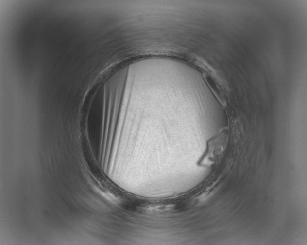 X0000073980203200609181725