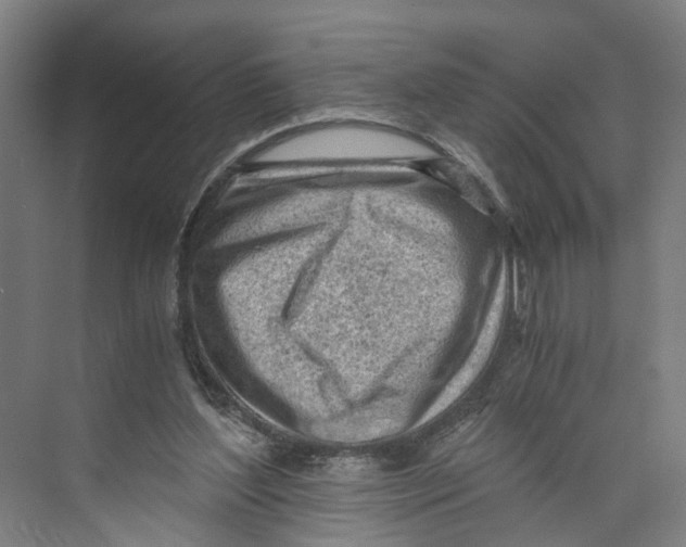 X0000073980204200609181725