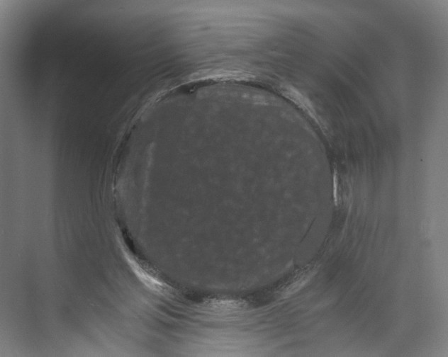 X0000073980205200609181725