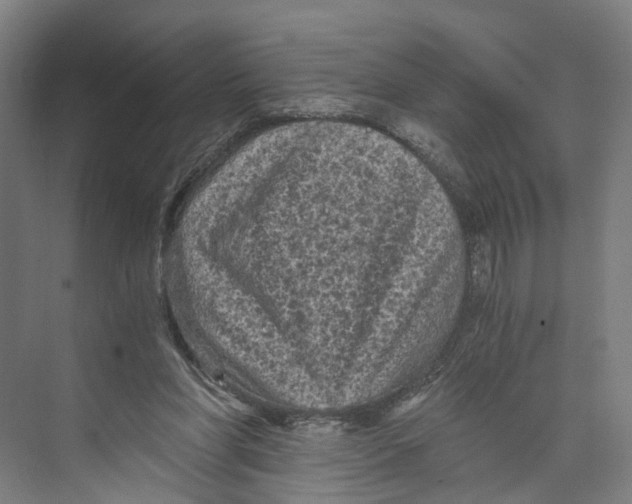 X0000073980206200609181725