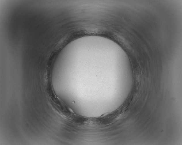 X0000073980211200609181725