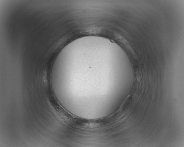 X0000073980212200609181725