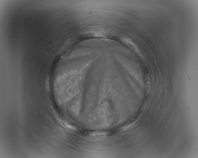 X0000073980213200609181725