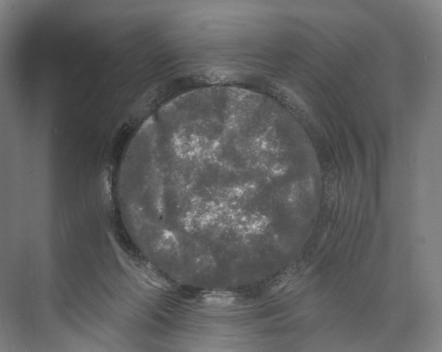 X0000073980214200609181725