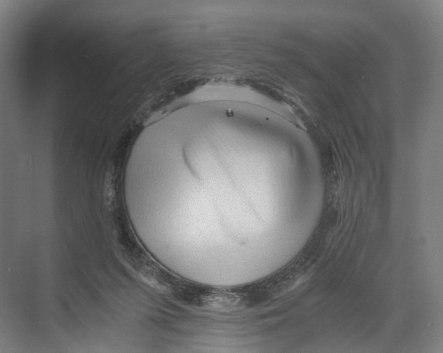 X0000073980215200609181725