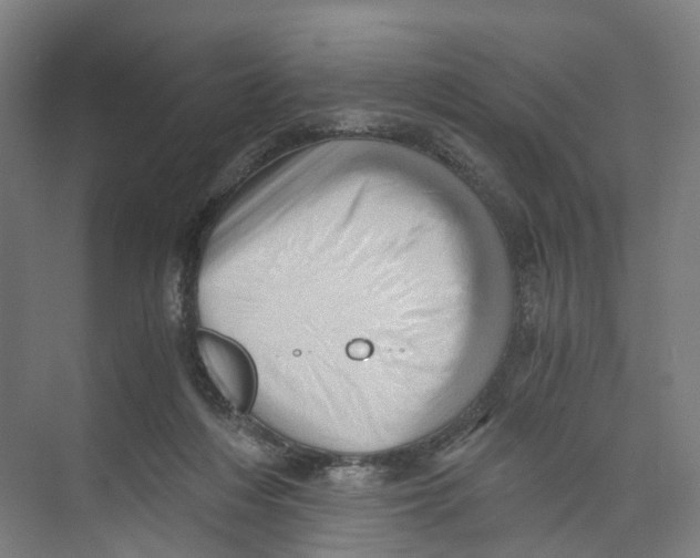 X0000073980216200609181725