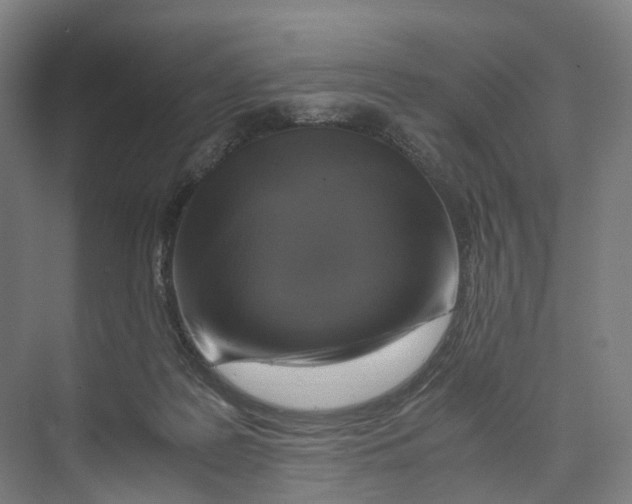 X0000073980219200609181725