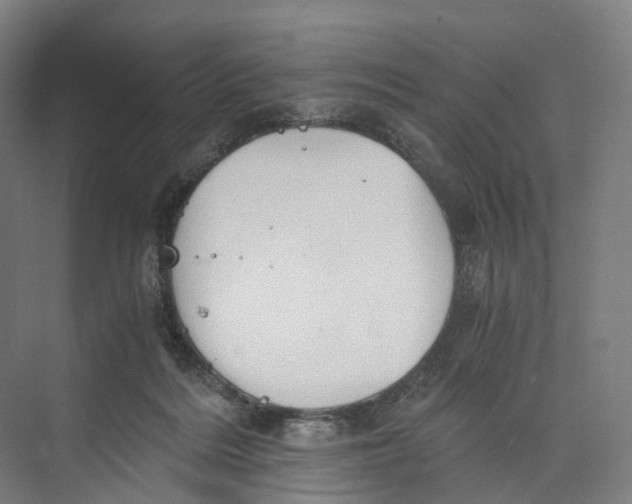 X0000073980220200609181725