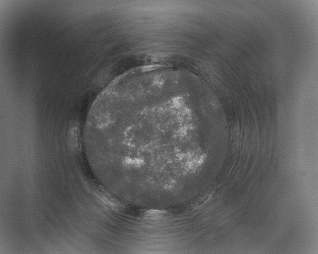 X0000073980222200609181725