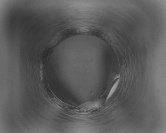 X0000073980223200609181725