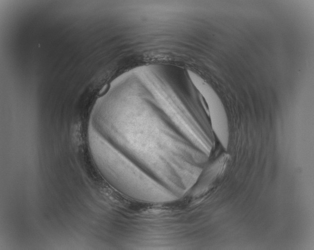 X0000073980224200609181725