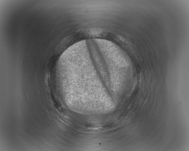 X0000073980225200609181725