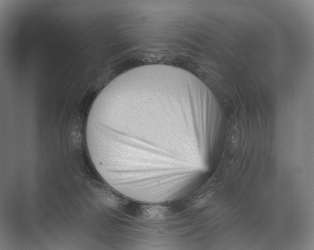 X0000073980226200609181725