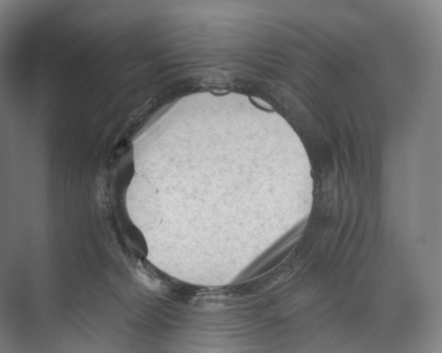 X0000073980228200609181725