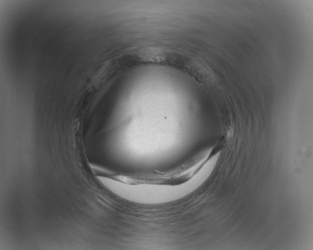 X0000073980229200609181725