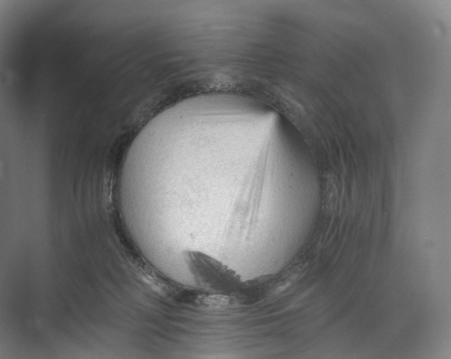 X0000073980230200609181725