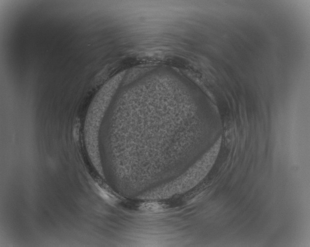 X0000073980231200609181725