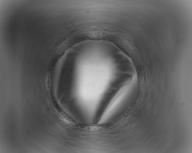 X0000073980233200609181724