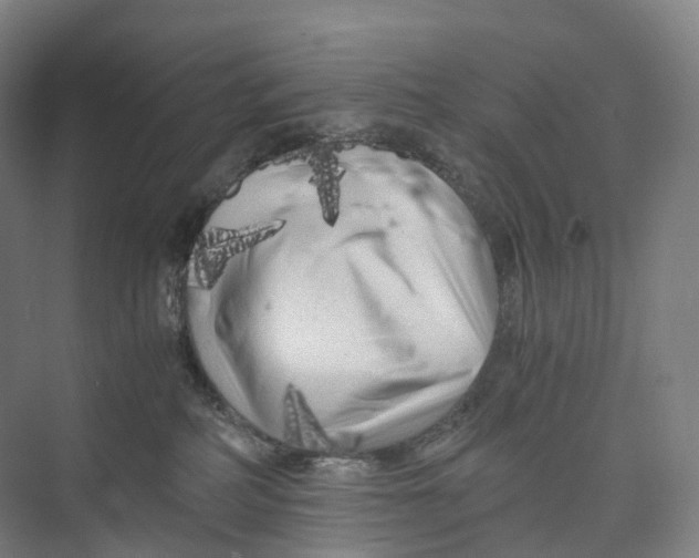 X0000073980234200609181724