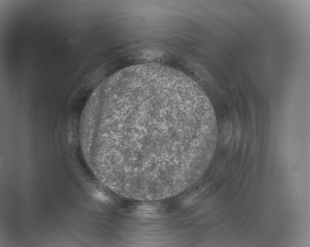 X0000073980236200609181724