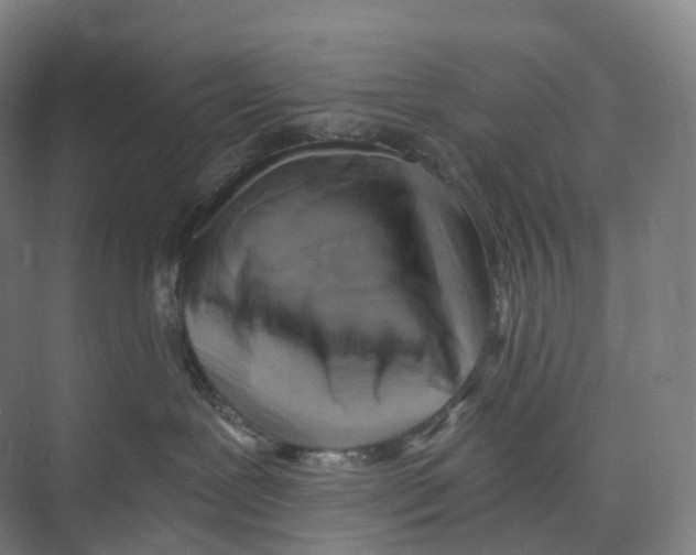 X0000073980239200609181724