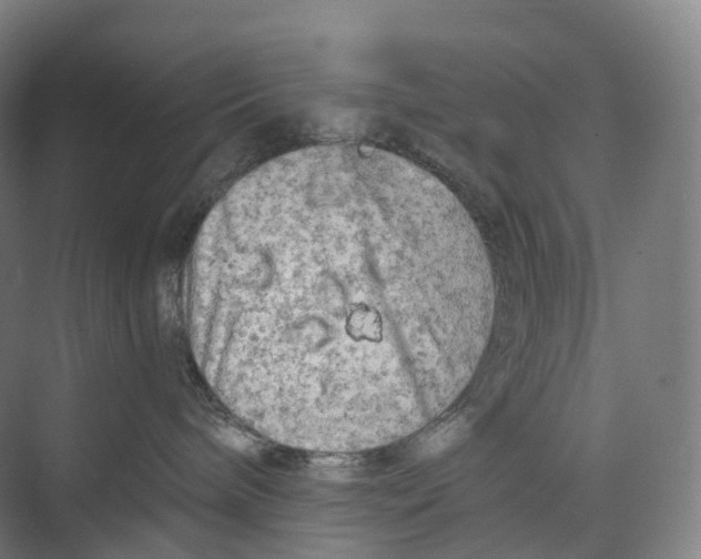 X0000073980240200609181724