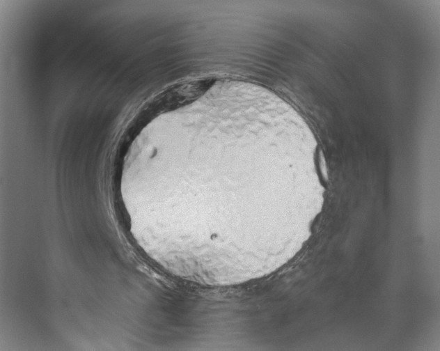 X0000073980241200609181724