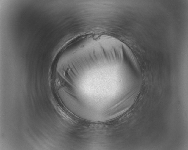 X0000073980242200609181724