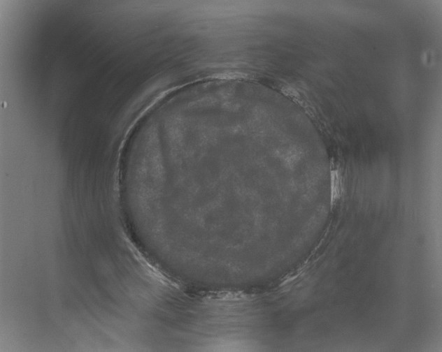 X0000073980243200609181724