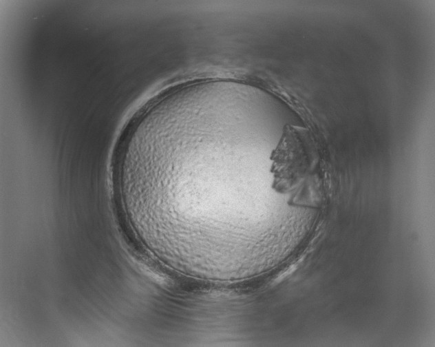 X0000073980246200609181724