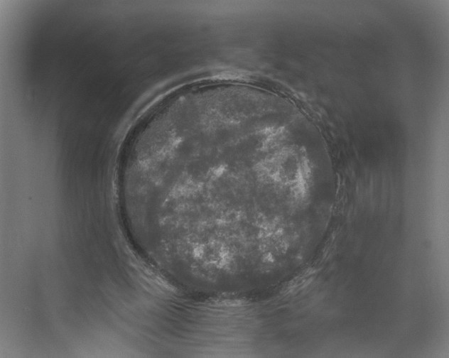 X0000073980247200609181724