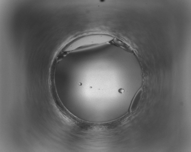 X0000073980248200609181724