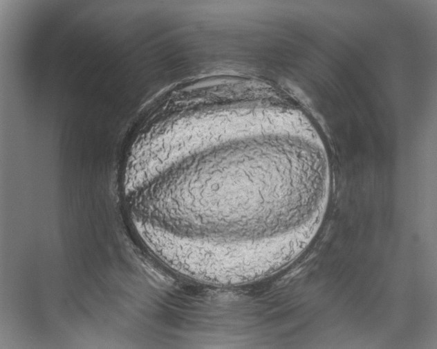 X0000073980249200609181724