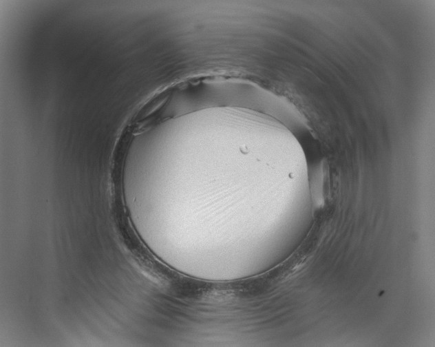 X0000073980252200609181724